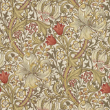 Golden Lily - 210400