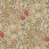 Golden Lily - 210400