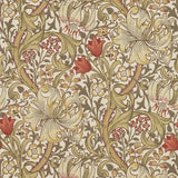 Golden Lily - 210400