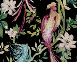 Bird Sonnet Jet Black Luxury Bird Wallpaper