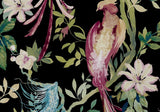 Bird Sonnet Jet Black Luxury Bird Wallpaper