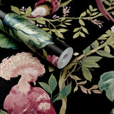 Bird Sonnet Jet Black Luxury Bird Wallpaper