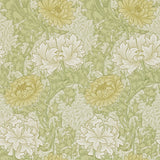 Chrysanthemum - 212545