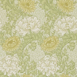Chrysanthemum - 212545