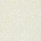 Chrysanthemum - 212546