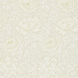Chrysanthemum - 212546