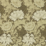 Chrysanthemum - 212547