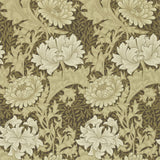 Chrysanthemum - 212547