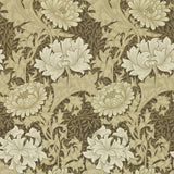 Chrysanthemum - 212547