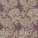 Chrysanthemum - 212548
