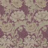 Chrysanthemum - 212548