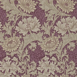 Chrysanthemum - 212548