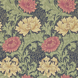 Chrysanthemum - 212549