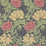 Chrysanthemum - 212549