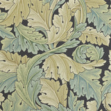 Acanthus - 212550