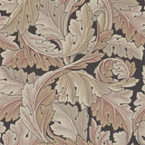 Acanthus - 212551