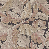 Acanthus - 212551