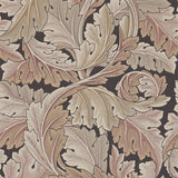 Acanthus - 212551