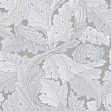 Acanthus - 212553