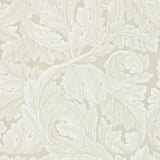 Acanthus - 212554