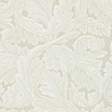 Acanthus - 212554