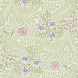 Larkspur - 212555