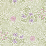 Larkspur - 212555