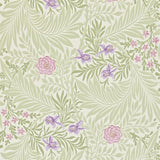 Larkspur - 212555
