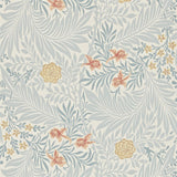 Larkspur - 212556