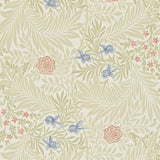Larkspur - 212557