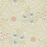 Larkspur - 212557
