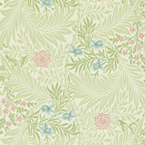 Larkspur - 212558
