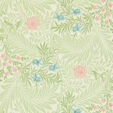 Larkspur - 212558