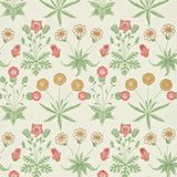 Daisy - 212562