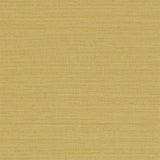 Io - 213050