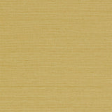 Io - 213050