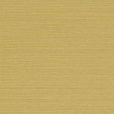 Io - 213050