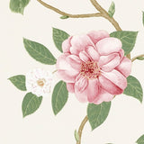 Christabel - 213374