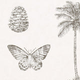 Cocos - 213384
