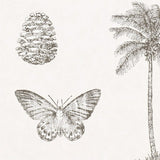 Cocos - 213384