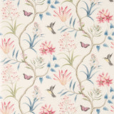 Clementine - 213387