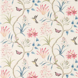 Clementine - 213387