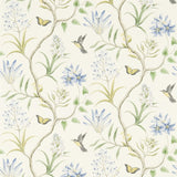 Clementine - 213389