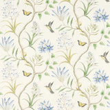 Clementine - 213389
