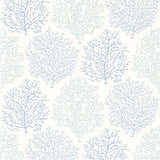 Coral Reef - 213390