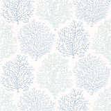 Coral Reef - 213390