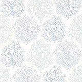 Coral Reef - 213390