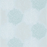 Coral Reef - 213394