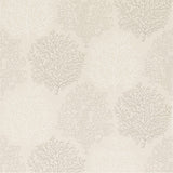 Coral Reef - 213395