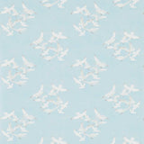 Seagulls - 214585